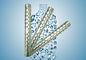 Stainless Steel Calcium Alkaline Ion Water Stick Plating Titanium supplier